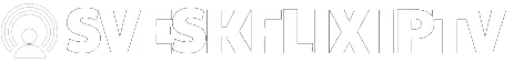IPTV SvenskFlix Tjänst - Premium Streamingtjänster